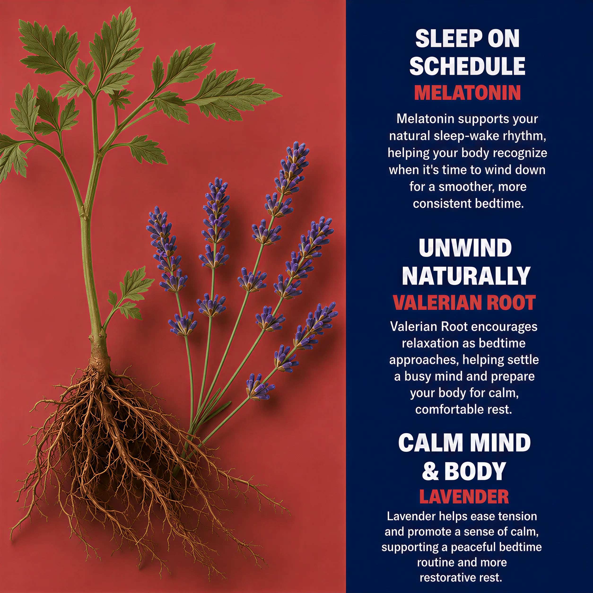 FUSE Dream melatonin valerian root and lavender ingredients