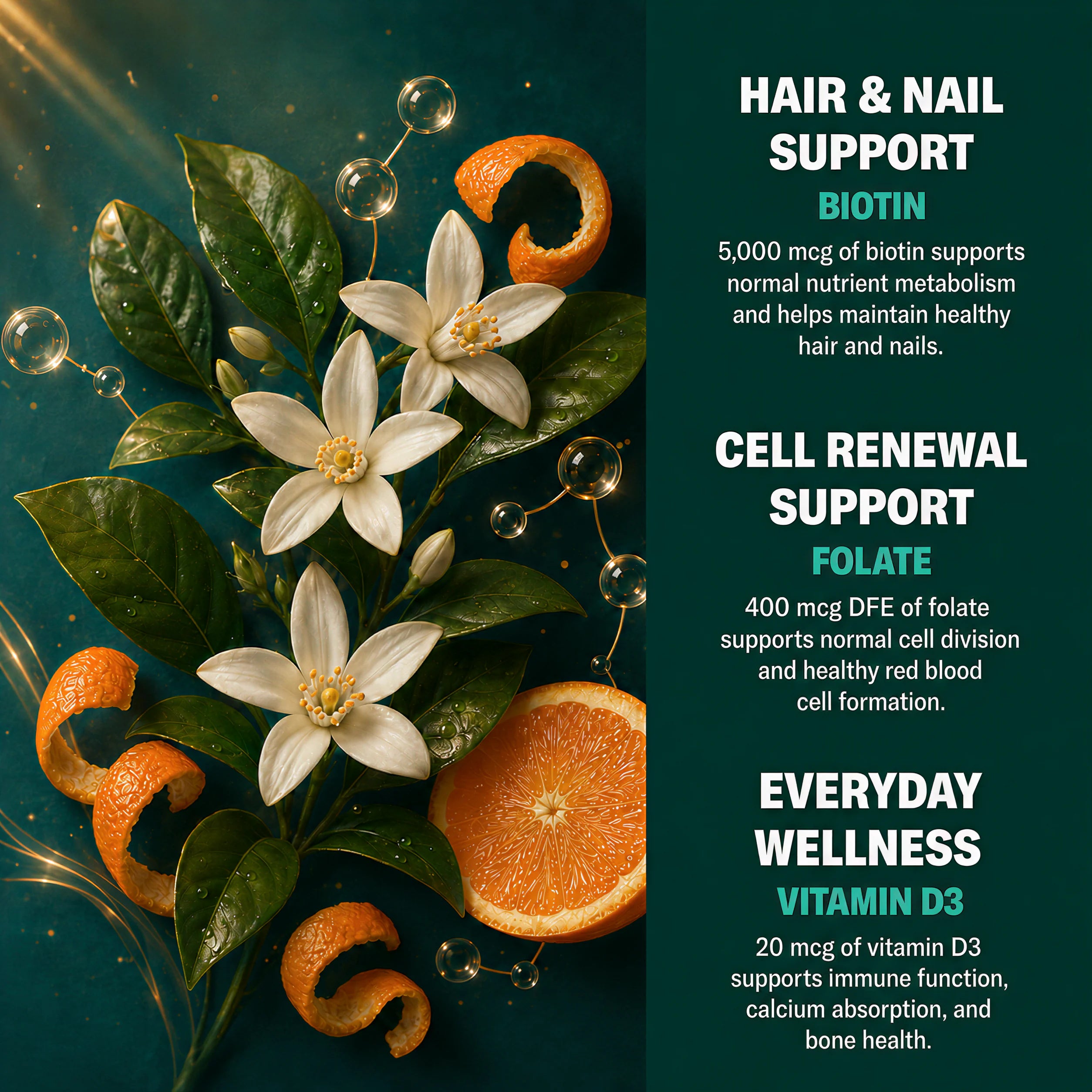 FUSE Lush biotin folate and vitamin D3 ingredients